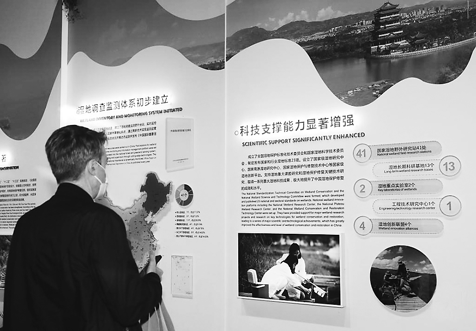 1667750745385466.jpg 31黑白.jpg